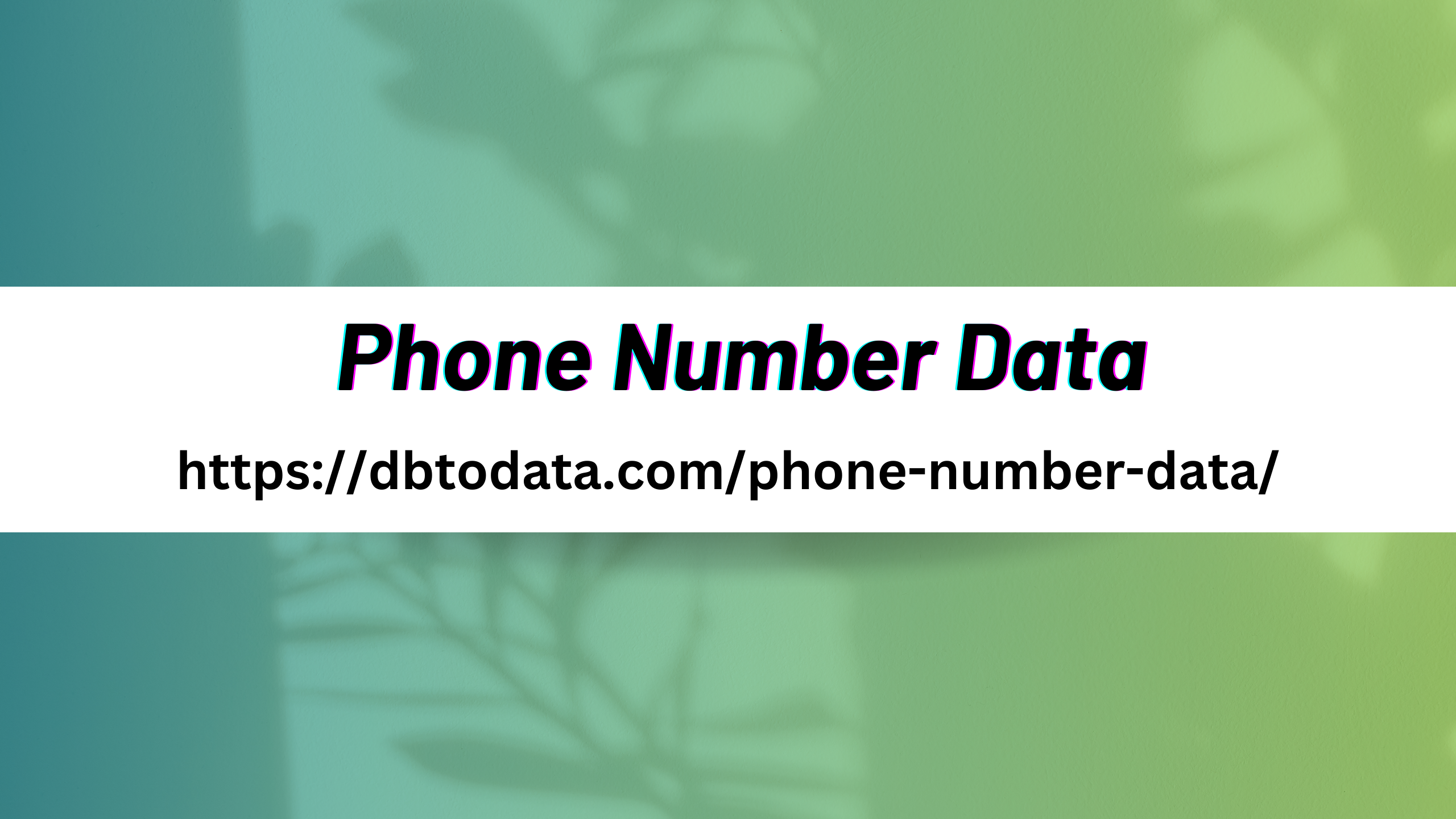 Phone Number Data 